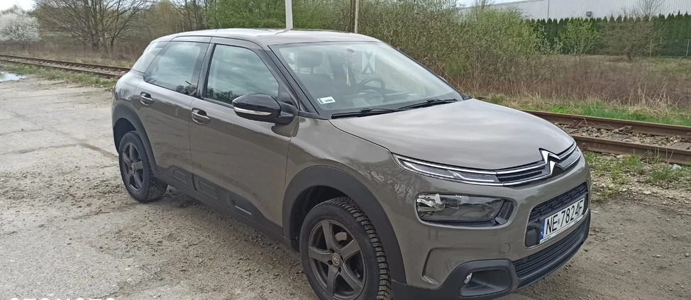 Citroen C4 Cactus cena 54400 przebieg: 27100, rok produkcji 2018 z Elbląg małe 79